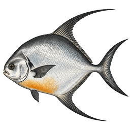 Permit