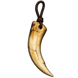 Crocodile Tooth